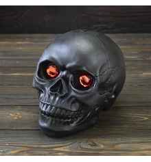 Череп копилка Мистик M 13790 (черный) купить в интернет магазине подарков ПраздникШоп