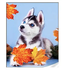 Алмазная мозаика ПРЕМИУМ Хаски в листьях размером 30х40 см (HEG86912) купить в интернет магазине подарков ПраздникШоп