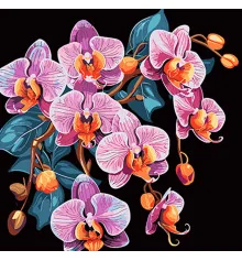 Картина по номерам ПРЕМИУМ Орхидея в изысканности на черном фоне размером 40х40 см (AV4040-39) купить в интернет магазине подарков ПраздникШоп