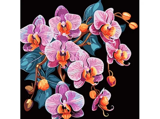 Картина по номерам ПРЕМИУМ Орхидея в изысканности на черном фоне размером 40х40 см (AV4040-39) купить в интернет магазине подарков ПраздникШоп