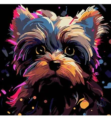 Картина по номерам ПРЕМИУМ Йорк цветовая экспрессия на черном фоне размером 30х30 см (SH3030-23) купить в интернет магазине подарков ПраздникШоп