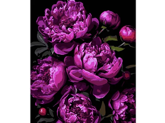 Картина по номерам Магия фиолетовых пионов на черном фоне размером 40х50 см (AH1134) купить в интернет магазине подарков ПраздникШоп