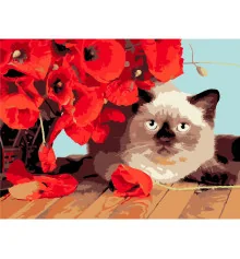 Картина по номерам ПРЕМИУМ Котенок среди маков на черном фоне размером 30х40 см (FH-22) купить в интернет магазине подарков ПраздникШоп