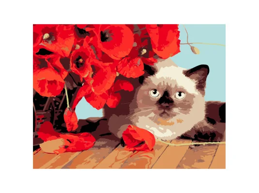 Картина по номерам ПРЕМИУМ Котенок среди маков на черном фоне размером 30х40 см (FH-22) купить в интернет магазине подарков ПраздникШоп