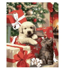 Картина по номерам Песик и котенок размером 40х50 см (VG002) купить в интернет магазине подарков ПраздникШоп