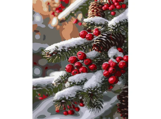 Картина по номерам Зимняя ветка размером 40х50 см (VG008) купить в интернет магазине подарков ПраздникШоп