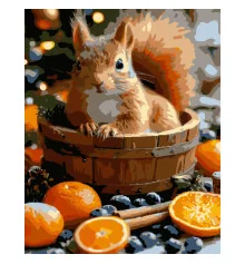 Картина по номерам Белка с апельсинами размером 40х50 см (VG010) купить в интернет магазине подарков ПраздникШоп