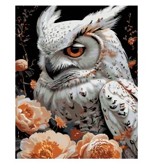 Картина по номерам ПРЕМИУМ Белая сова на черном фоне размером 40х50 см (AH1237) купить в интернет магазине подарков ПраздникШоп