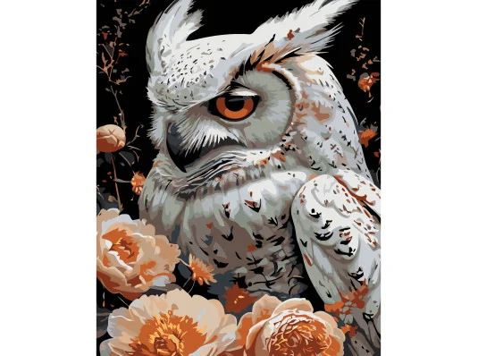 Картина по номерам ПРЕМИУМ Белая сова на черном фоне размером 40х50 см (AH1237) купить в интернет магазине подарков ПраздникШоп