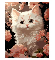 Картина по номерам ПРЕМИУМ Белый котенок на черном фоне размером 40х50 см (AH1229-17) купить в интернет магазине подарков ПраздникШоп