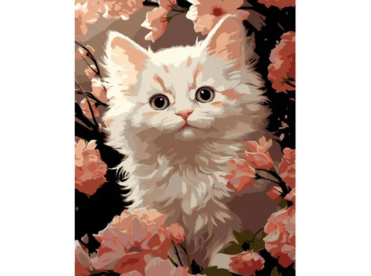 Картина по номерам ПРЕМИУМ Белый котенок на черном фоне размером 40х50 см (AH1229-17) купить в интернет магазине подарков ПраздникШоп