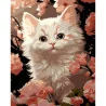 Картина за номерами ПРЕМІУМ Біле кошеня на чорному фоні розміром 40х50 см (AH1229-17)