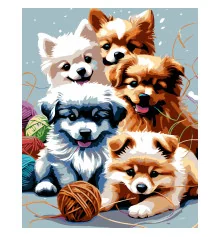 Картина по номерам ПРЕМИУМ Игривые щенки на черном фоне размером 40х50 см (AH1226-19) купить в интернет магазине подарков ПраздникШоп
