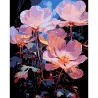 Картина за номерами ПРЕМІУМ Нічні квіти на чорному фоні розміром 40х50 см (AH1224-17)