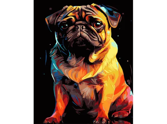 Картина по номерам ПРЕМИУМ Яркий мопс на черном фоне размером 40х50 см (AH1223-19) купить в интернет магазине подарков ПраздникШоп