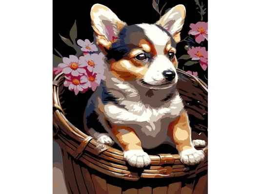 Картина по номерам ПРЕМИУМ Щенок в корзине на черном фоне размером 40х50 см (AH1220-19) купить в интернет магазине подарков ПраздникШоп