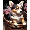 Картина за номерами ПРЕМІУМ Цуценя у кошику на чорному фоні розміром 40х50 см (AH1220-19)