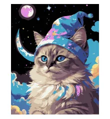 Картина по номерам ПРЕМИУМ Кот среди звезд на черном фоне размером 40х50 см (AH1219-17) купить в интернет магазине подарков ПраздникШоп