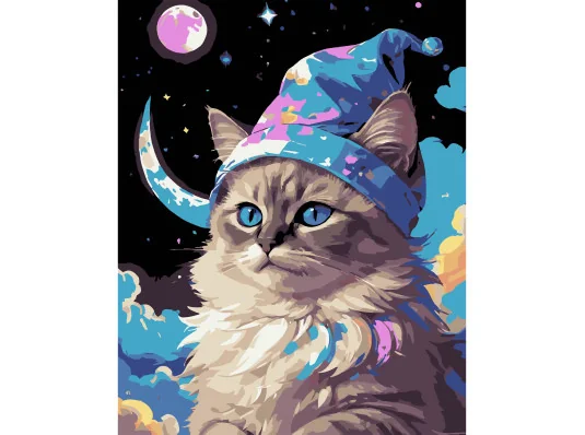 Картина по номерам ПРЕМИУМ Кот среди звезд на черном фоне размером 40х50 см (AH1219-17) купить в интернет магазине подарков ПраздникШоп