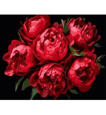 Картина по номерам ПРЕМИУМ Яркие пионы на черном фоне размером 40х50 см (AH1215-11) купить в интернет магазине подарков ПраздникШоп