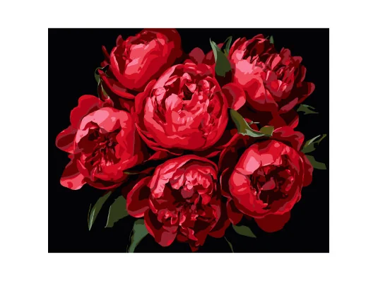 Картина по номерам ПРЕМИУМ Яркие пионы на черном фоне размером 40х50 см (AH1215-11) купить в интернет магазине подарков ПраздникШоп