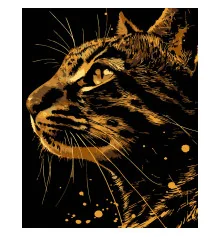 Картина по номерам ПРЕМИУМ Бенгальский кот на черном фоне размером 40х50 см (AH1211-8) купить в интернет магазине подарков ПраздникШоп