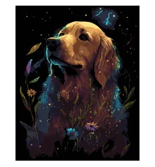 Картина по номерам ПРЕМИУМ Золотой ретривер на черном фоне размером 40х50 см (AH1206-17) купить в интернет магазине подарков ПраздникШоп