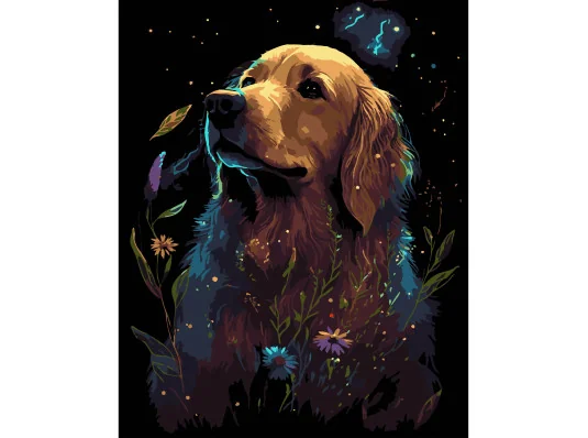Картина по номерам ПРЕМИУМ Золотой ретривер на черном фоне размером 40х50 см (AH1206-17) купить в интернет магазине подарков ПраздникШоп