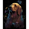 Картина за номерами ПРЕМІУМ Золотий ретривер на чорному фоні розміром 40х50 см (AH1206-17)