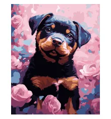 Картина по номерам ПРЕМИУМ Песик на черном фоне размером 40х50 см (AH1205-17) купить в интернет магазине подарков ПраздникШоп