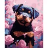 Картина за номерами ПРЕМІУМ Песик на чорному фоні розміром 40х50 см (AH1205-17)