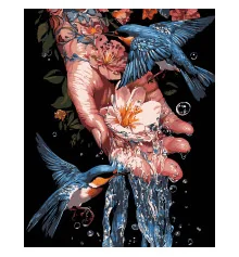 Картина по номерам ПРЕМИУМ Синие птицы на черном фоне размером 40х50 см (AH1204-17) купить в интернет магазине подарков ПраздникШоп