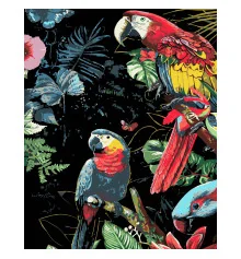 Картина по номерам ПРЕМИУМ Яркие попугаи на черном фоне размером 40х50 см (AH1201-19) купить в интернет магазине подарков ПраздникШоп