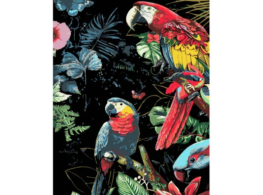 Картина по номерам ПРЕМИУМ Яркие попугаи на черном фоне размером 40х50 см (AH1201-19) купить в интернет магазине подарков ПраздникШоп