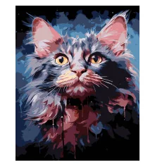 Картина по номерам ПРЕМИУМ Акварельный кот на черном фоне размером 40х50 см (AH1199-17) купить в интернет магазине подарков ПраздникШоп