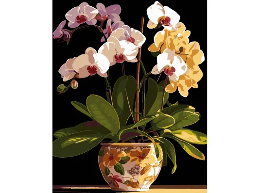 Картина по номерам ПРЕМИУМ Горшок орхидей на черном фоне размером 40х50 см (AH1198) купить в интернет магазине подарков ПраздникШоп