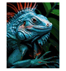 Картина по номерам ПРЕМИУМ Яркий хамелеон на черном фоне размером 40х50 см (AH1195-15) купить в интернет магазине подарков ПраздникШоп