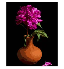 Картина по номерам ПРЕМИУМ Пион в весе на черном фоне размером 40х50 см (AH1188-17) купить в интернет магазине подарков ПраздникШоп