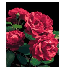 Картина по номерам ПРЕМИУМ Розы на черном фоне размером 40х50 см (AH1187-18) купить в интернет магазине подарков ПраздникШоп