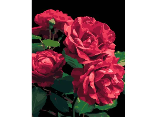 Картина по номерам ПРЕМИУМ Розы на черном фоне размером 40х50 см (AH1187-18) купить в интернет магазине подарков ПраздникШоп