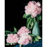 Картина по номерам ПРЕМИУМ Розовые пионы на черном фоне размером 40х50 см (AH1186-18)