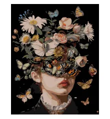 Картина по номерам ПРЕМИУМ Девушка и бабочки на черном фоне размером 40х50 см (AH1176-19 купить в интернет магазине подарков ПраздникШоп