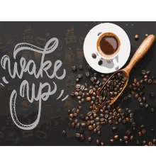 Картина по номерам ПРЕМИУМ Wake up на черном фоне размером 40х50 см (AH1171-19) купить в интернет магазине подарков ПраздникШоп