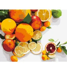 Картина по номерам ПРЕМИУМ Фруктовый мотив с лаком размером 40х50 см VA-2679 купить в интернет магазине подарков ПраздникШоп