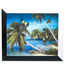 Бабочки в рамке на фоне (34.5×29.5×3 см) купить в интернет магазине подарков ПраздникШоп