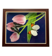 Бабочки в рамке (28×23×2.5 см) купить в интернет магазине подарков ПраздникШоп