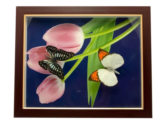 Бабочки в рамке (28×23×2.5 см) купить в интернет магазине подарков ПраздникШоп