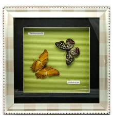 Бабочки в рамке (30×30×3.5 см) купить в интернет магазине подарков ПраздникШоп