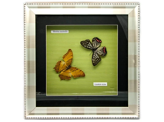 Бабочки в рамке (30×30×3.5 см) купить в интернет магазине подарков ПраздникШоп