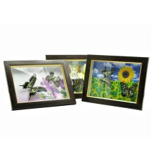 Бабочки в рамке на фоне (2 шт.) (21×16 см) купить в интернет магазине подарков ПраздникШоп
